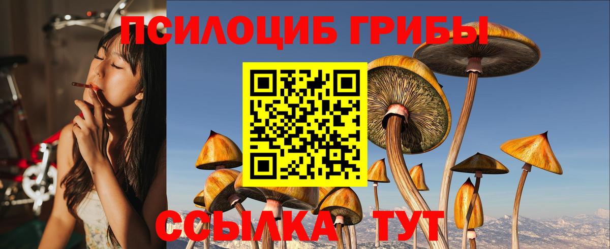 Галлюциногенные грибы ЛСД  хочу   Клинцы  Вход с VPN 