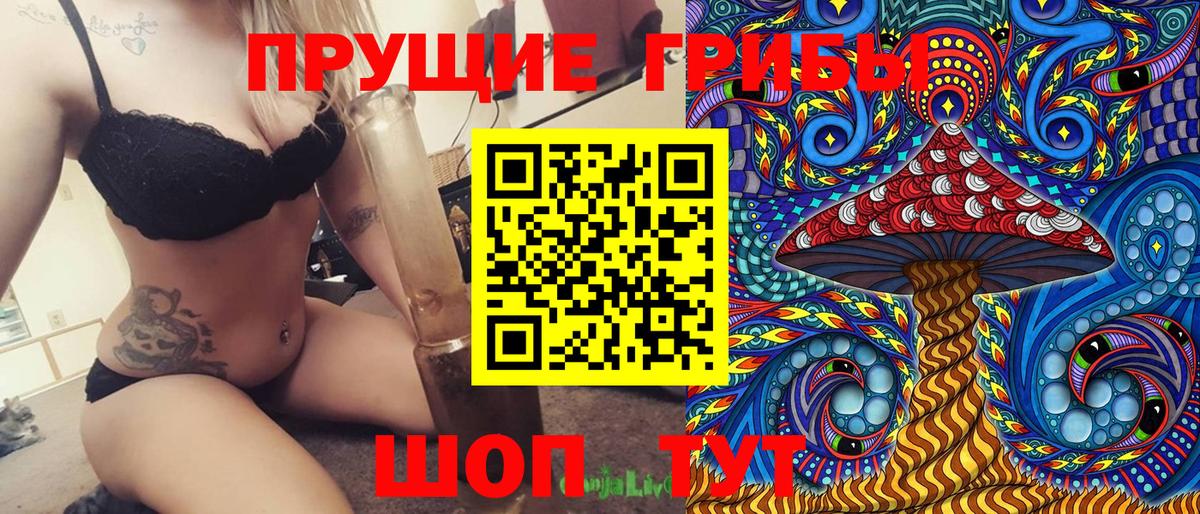 Галлюциногенные грибы Psilocybe Клинцы